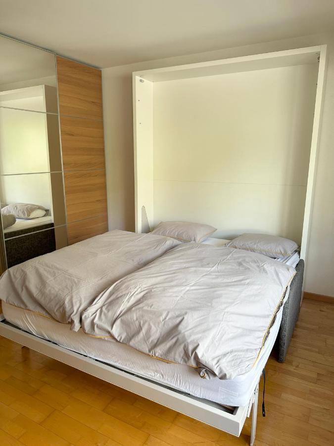 Charmant Studio Renove Situe Dans Les Bains D'Ovronnaz, Immeuble Les Sources Kültér fotó